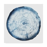 Трговска марка ликовна уметност „Преклопување на прстенот на дрвјата I“ платно уметност од Грејс Поп