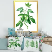 DesignArt 'Антички зелени лисја растенија v' Традиционална врамена уметност печатење