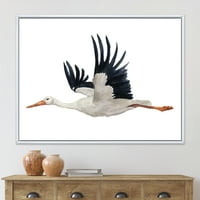 Бела штрк Циконија летачка птица врамена сликарство платно уметнички принт